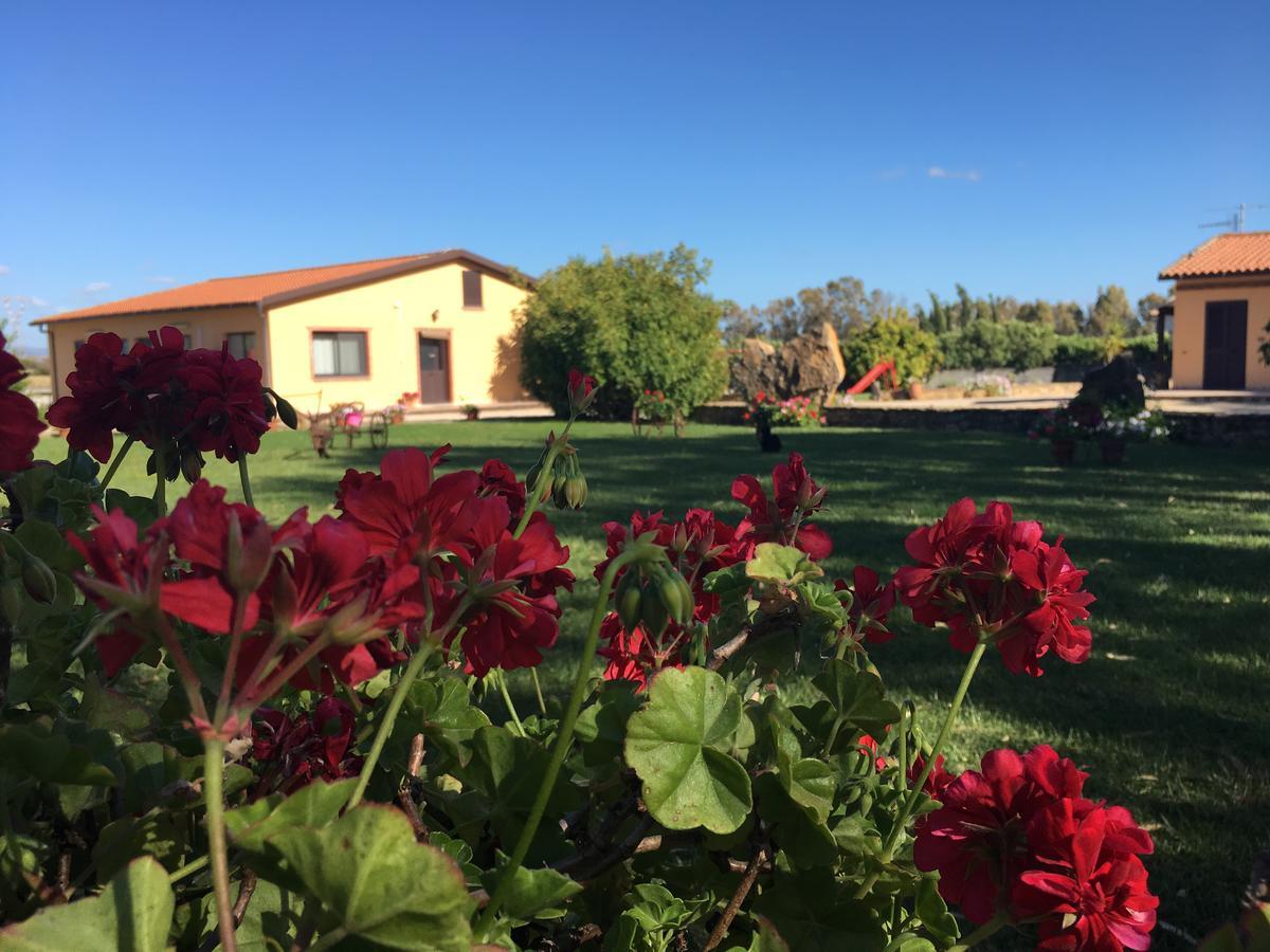 Agriturismo Sechi Campanedda Buitenkant foto